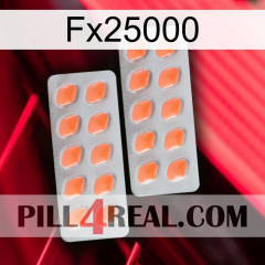 Fx25000 27